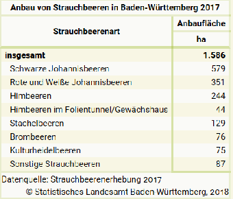 Anbau von Strauchbeeren in Baden-Württemberg 2017 - Tabelle