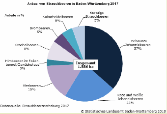 Anbau von Strauchbeeren in Baden-Württemberg 2017